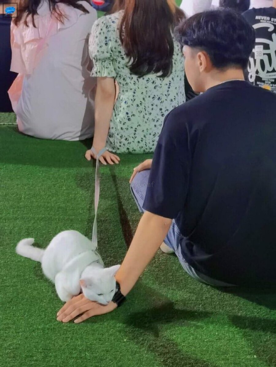 무시무시한 불륜의 현장.jpg_1.jpg