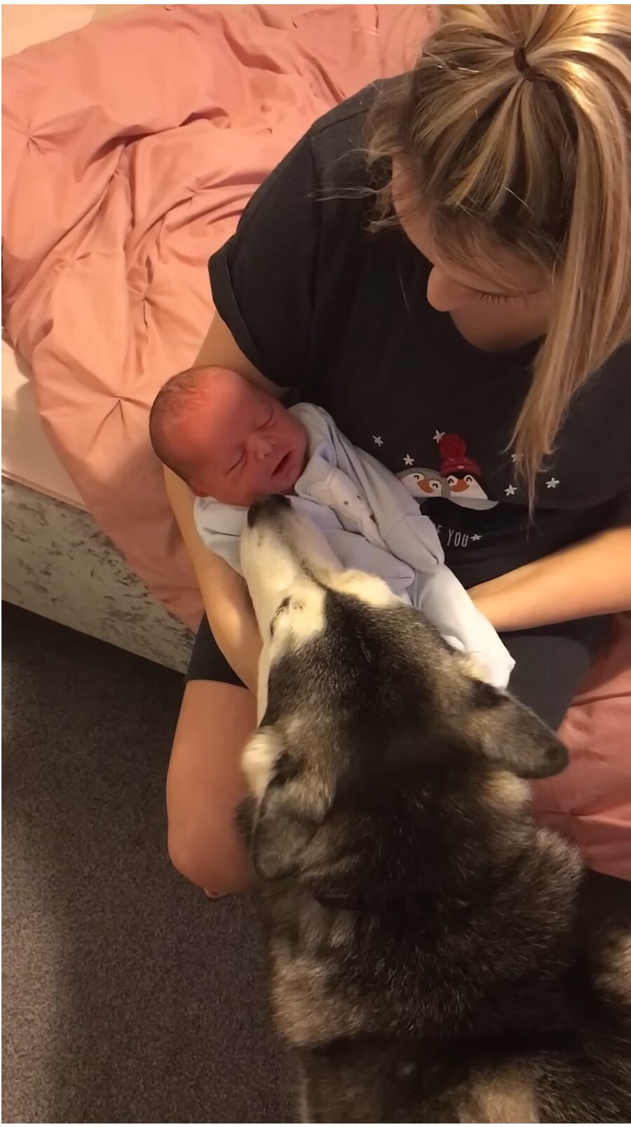 태어났을 때 부터 개와 평생 자라오고 있는 아이_1.png