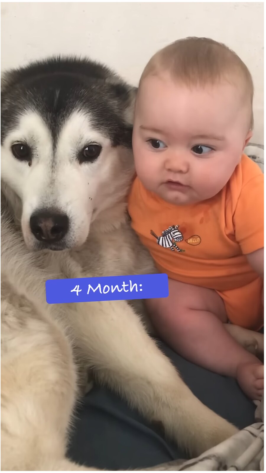 태어났을 때 부터 개와 평생 자라오고 있는 아이_5.png