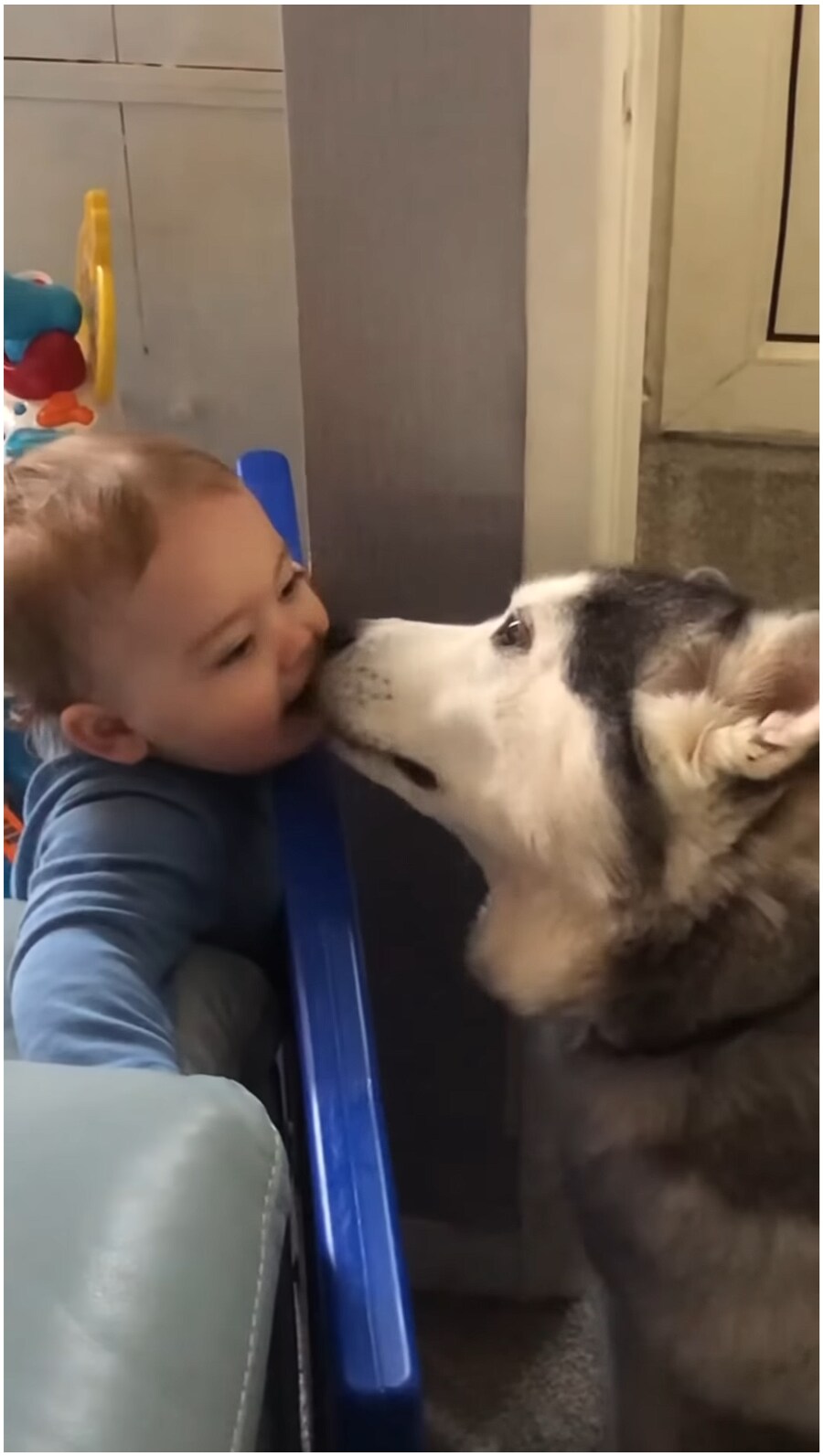 태어났을 때 부터 개와 평생 자라오고 있는 아이_7.png