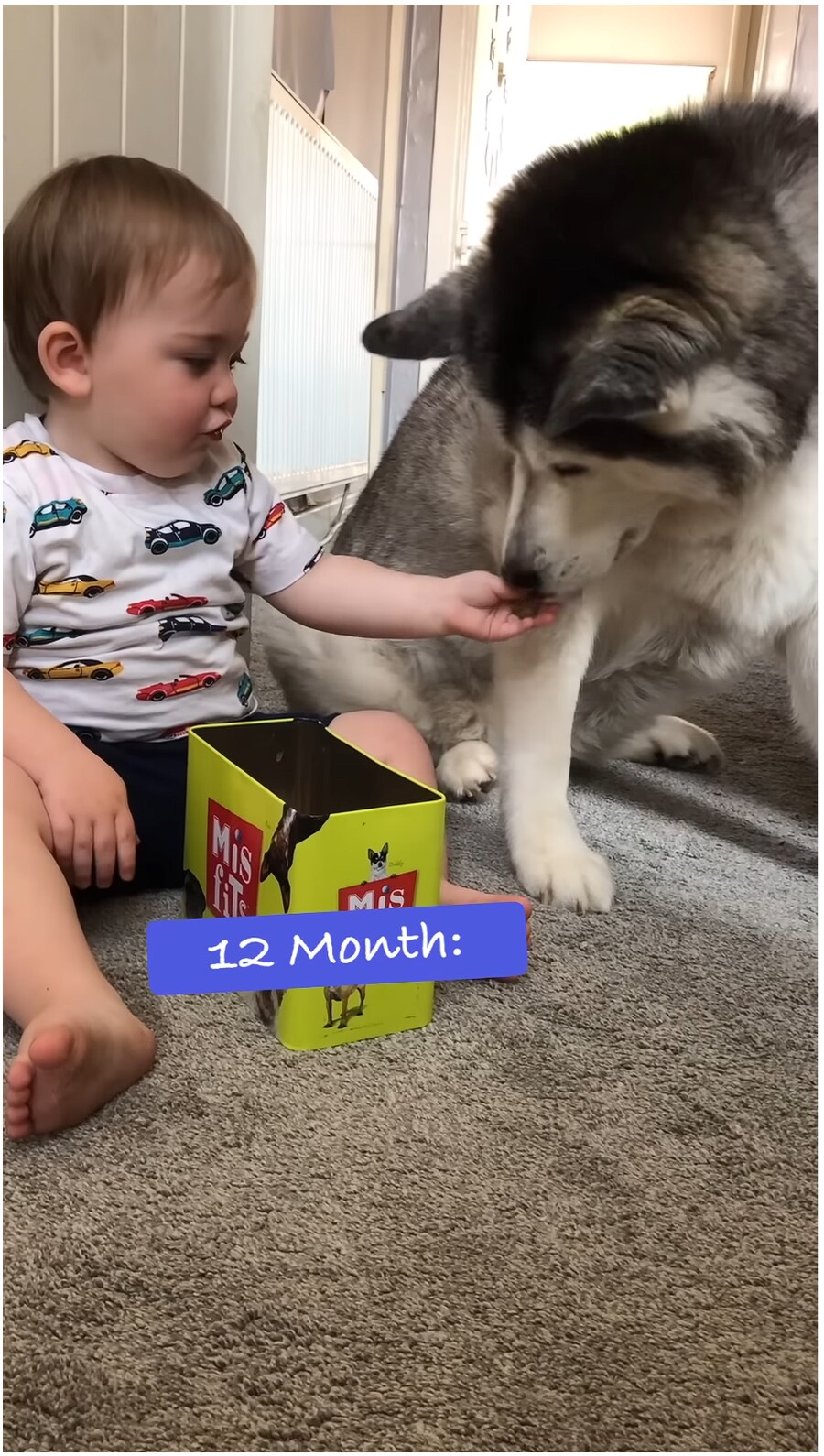 태어났을 때 부터 개와 평생 자라오고 있는 아이_8.png