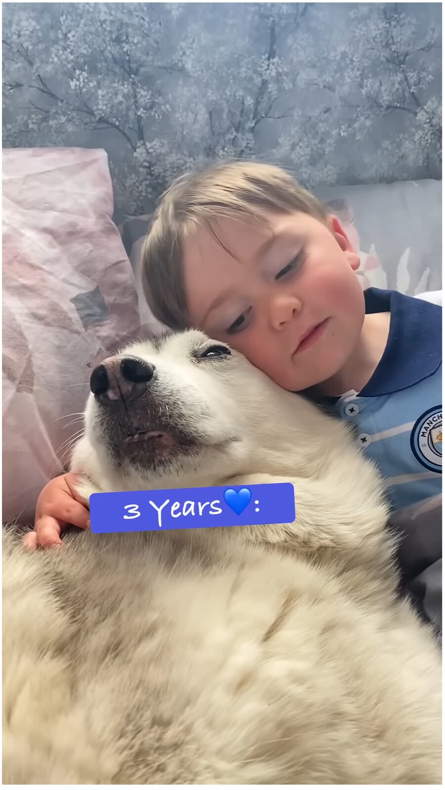 태어났을 때 부터 개와 평생 자라오고 있는 아이_10.png