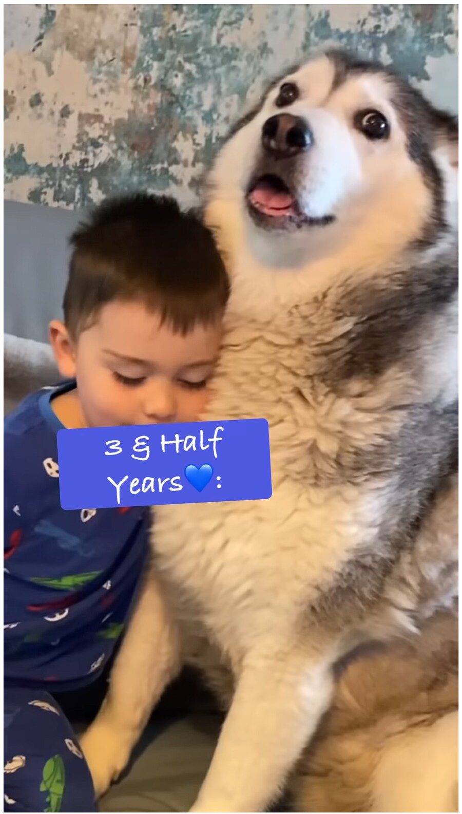 태어났을 때 부터 개와 평생 자라오고 있는 아이_11.png