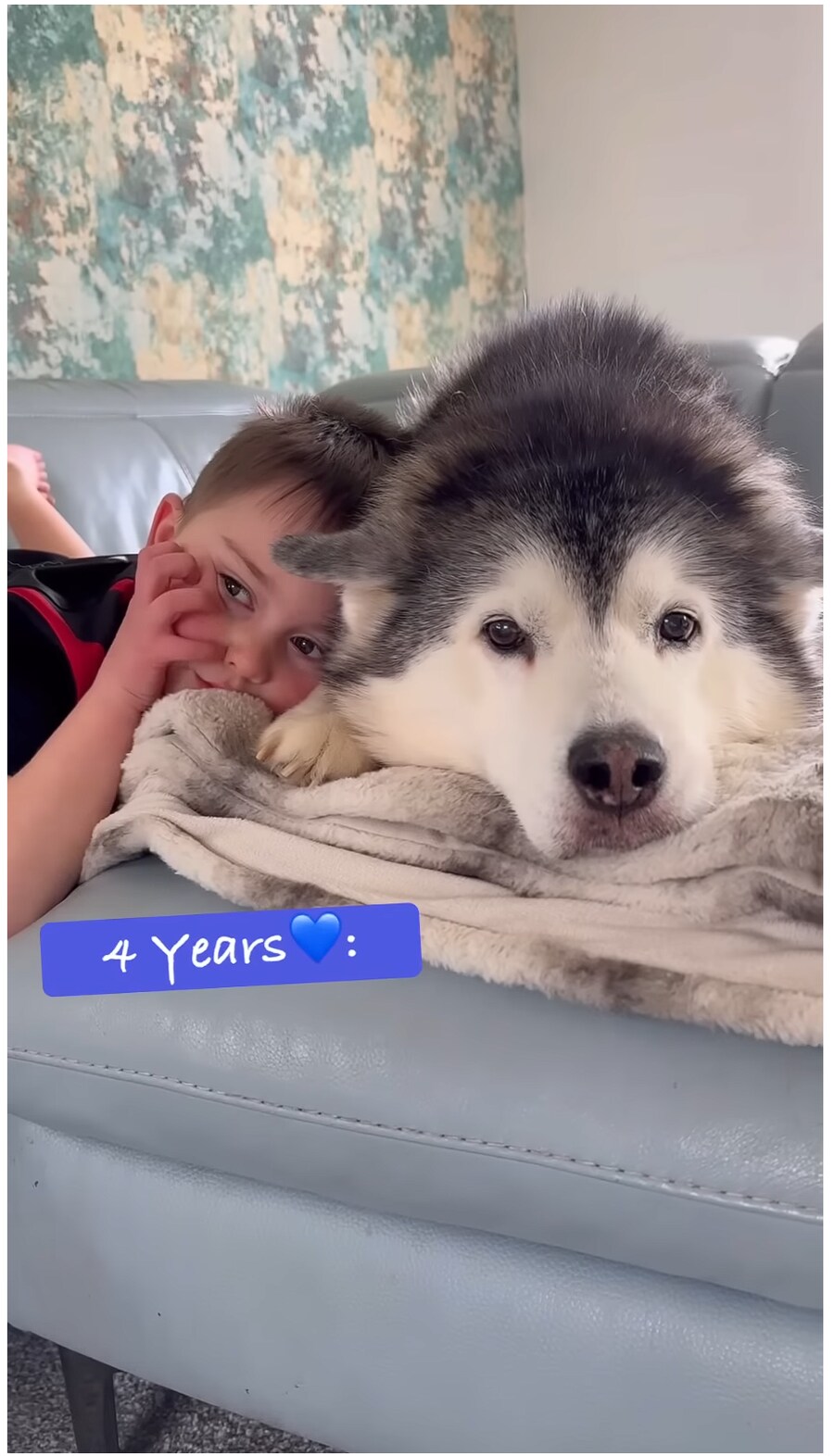 태어났을 때 부터 개와 평생 자라오고 있는 아이_12.png