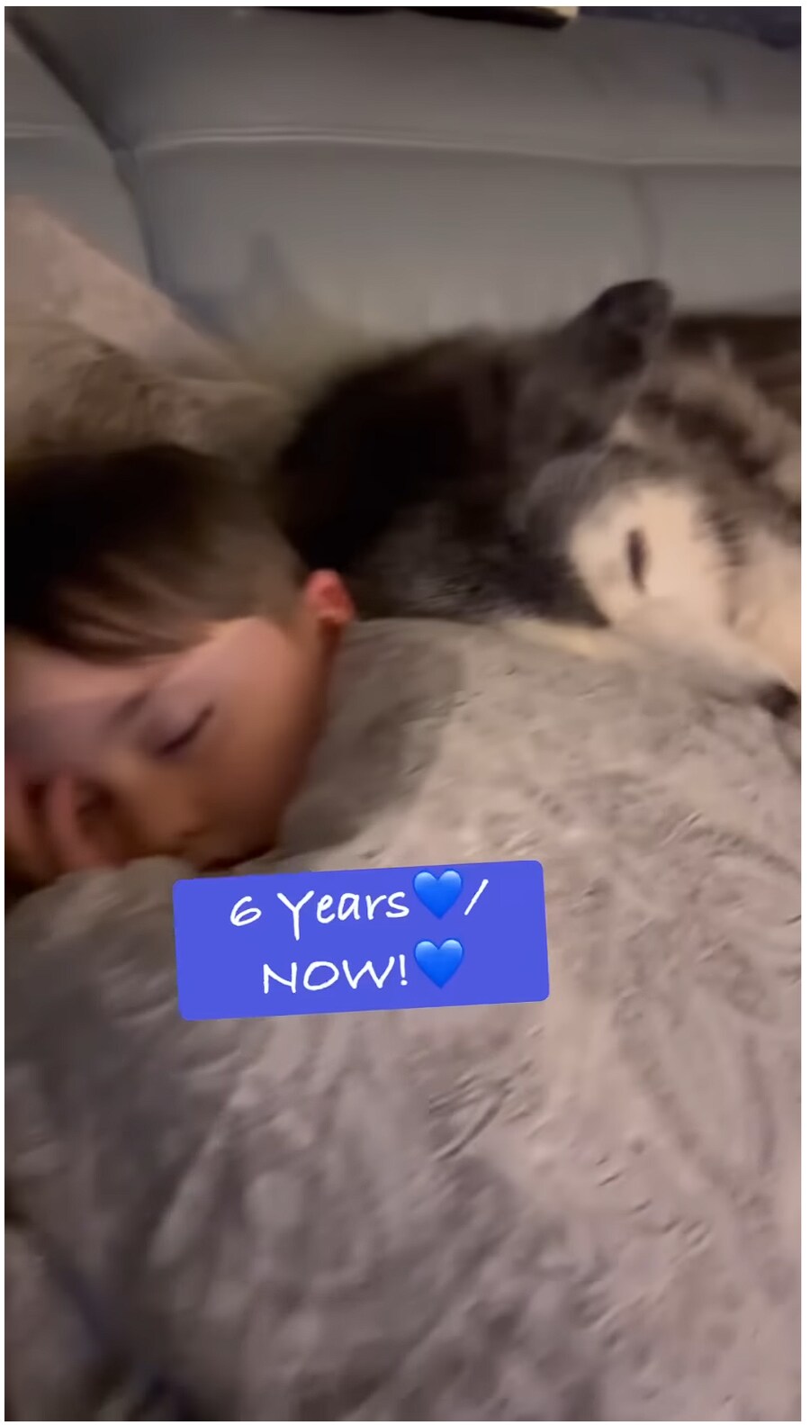 태어났을 때 부터 개와 평생 자라오고 있는 아이_14.png