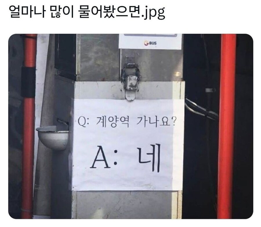 얼마나 많이 물어봤으면_1.jpg