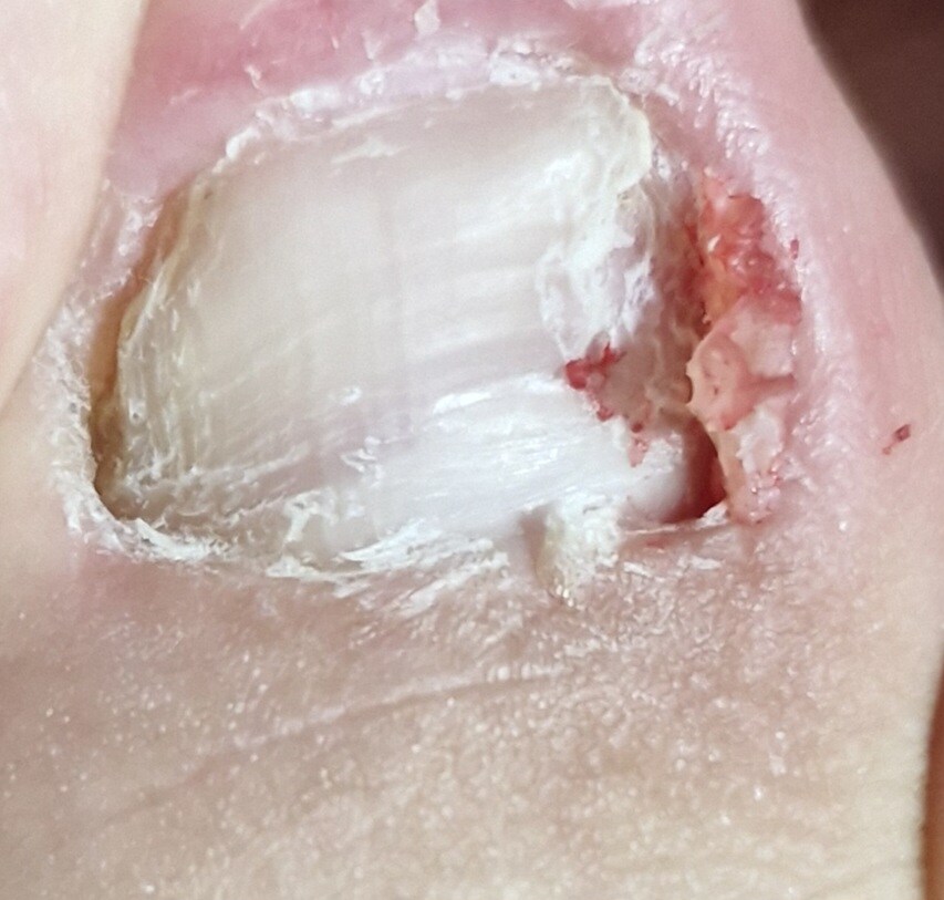 극혐) 내성적인 아이들_1.jpg