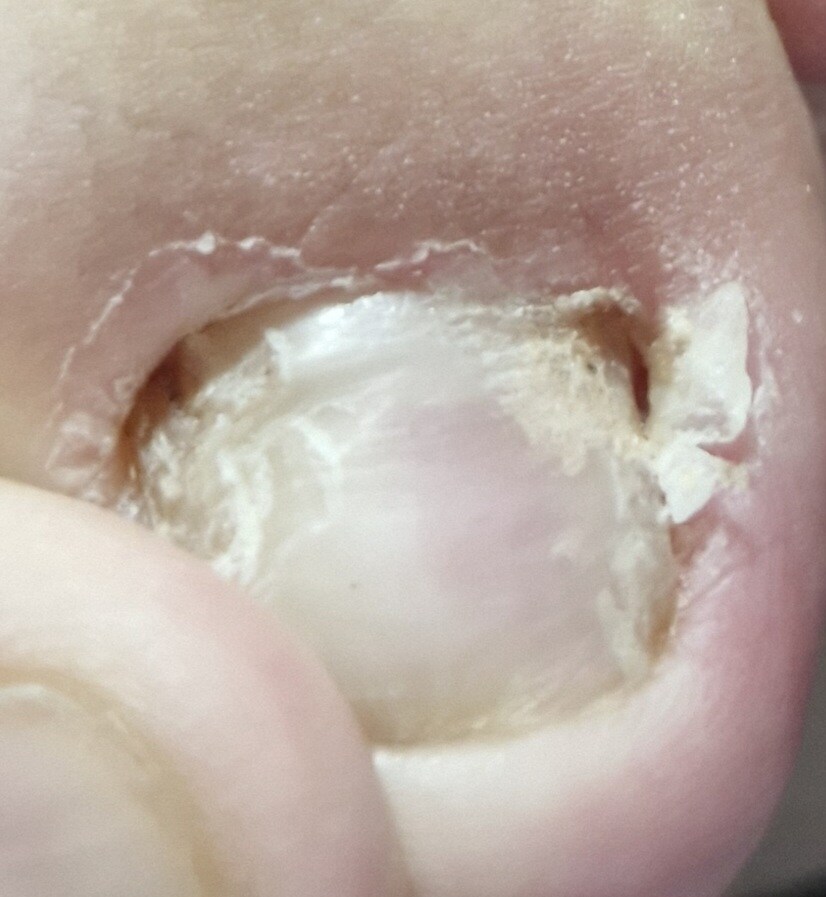 극혐) 내성적인 아이들_5.jpg