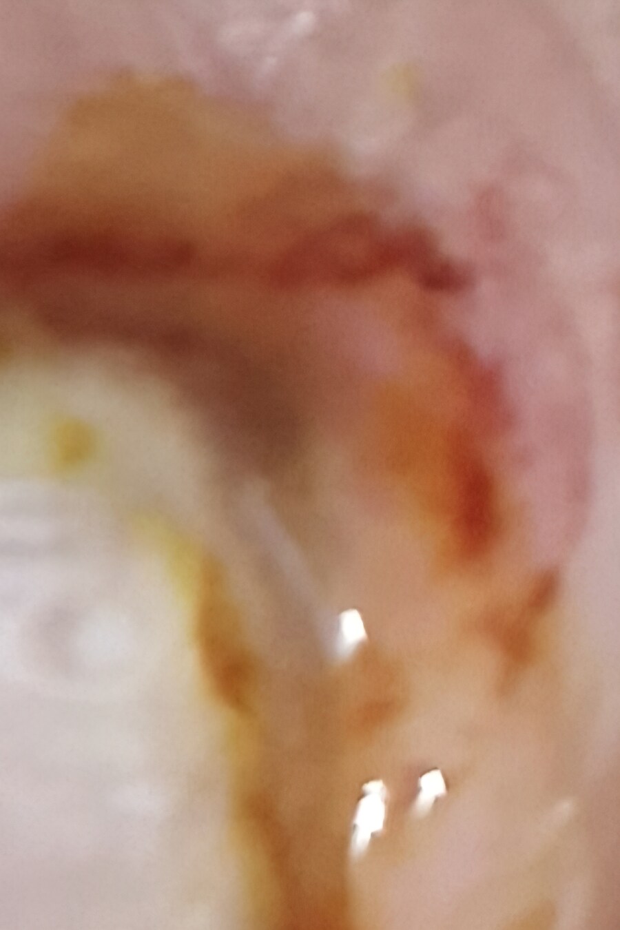 극혐) 내성적인 아이들_7.jpg