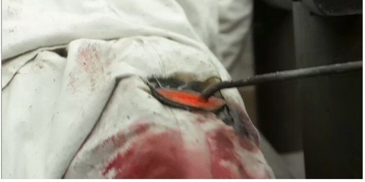 검색 엔진 jpg._2.jpg