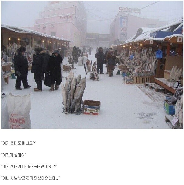 남극 식재료들이 전부 냉동인 이유 ㅋㅋ_1.jpg