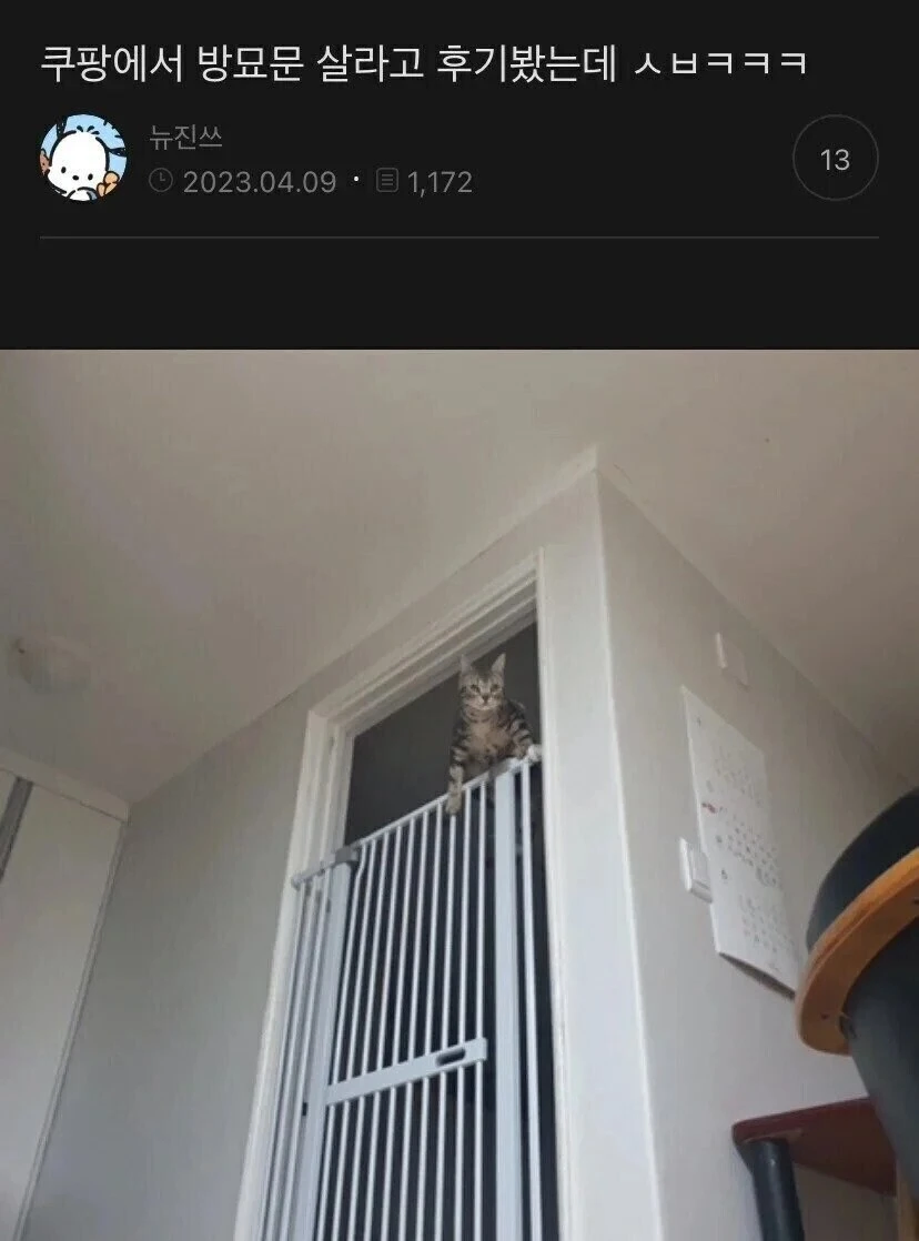 쿠팡 방묘문 구매 후기.jpg_1.webp