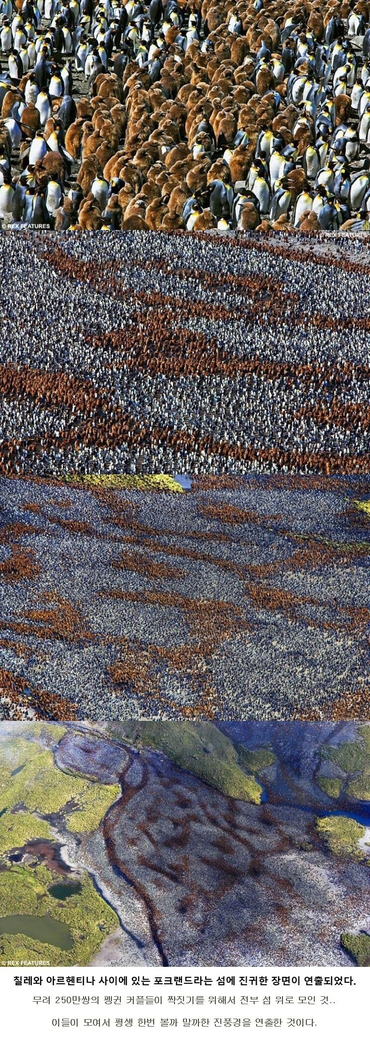 대규모 난교파티_1.jpg