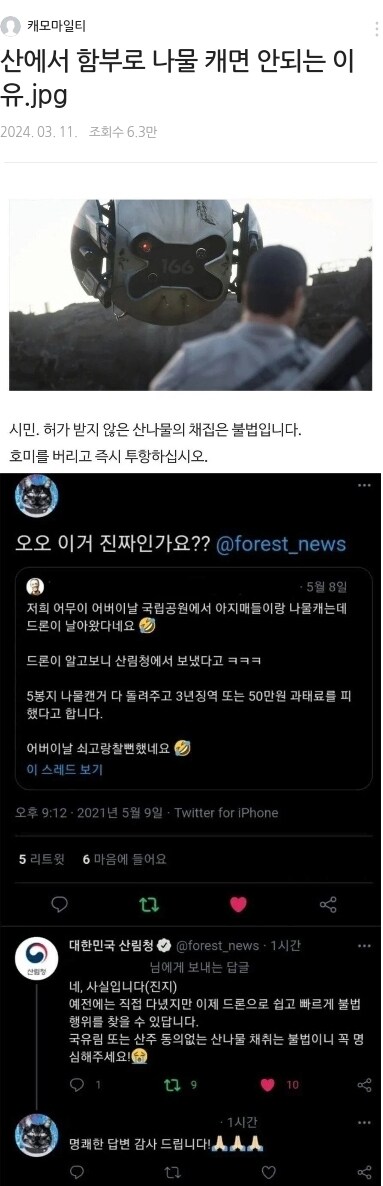 산에서 함부로 나물캐면 안되는 이유_1.jpg