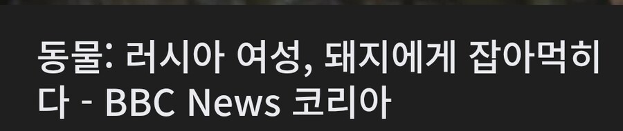 의외로 사람들이 잘 모르는 돼지의 위험성.jpg_4.jpg