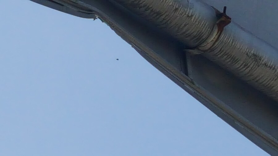 나 UFO 봤음!_1.jpg