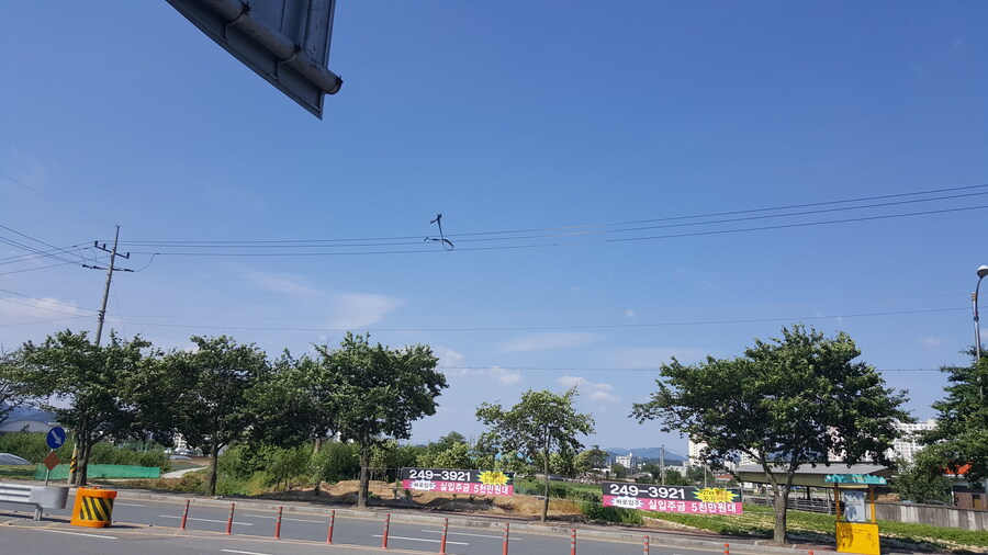 나 UFO 봤음!_3.jpg