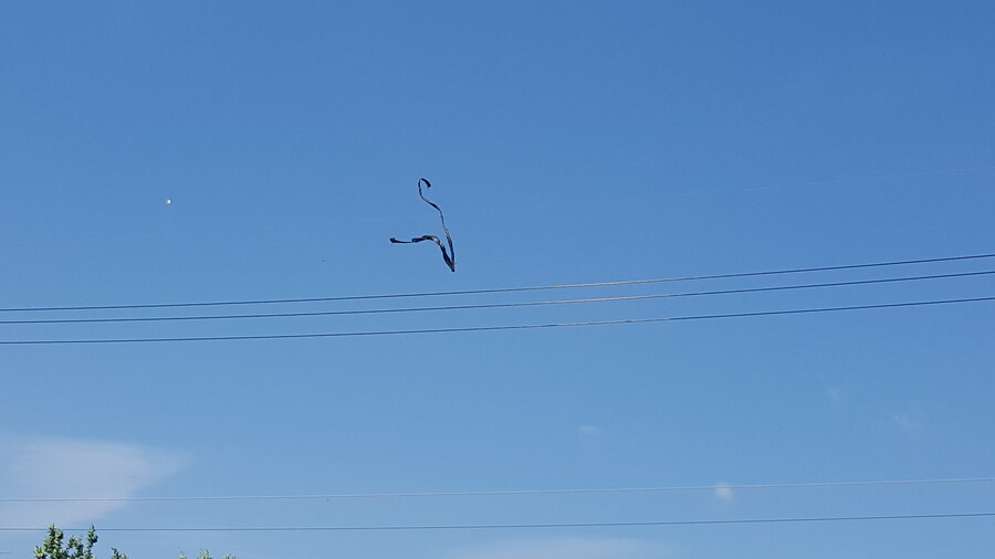 나 UFO 봤음!_4.jpg