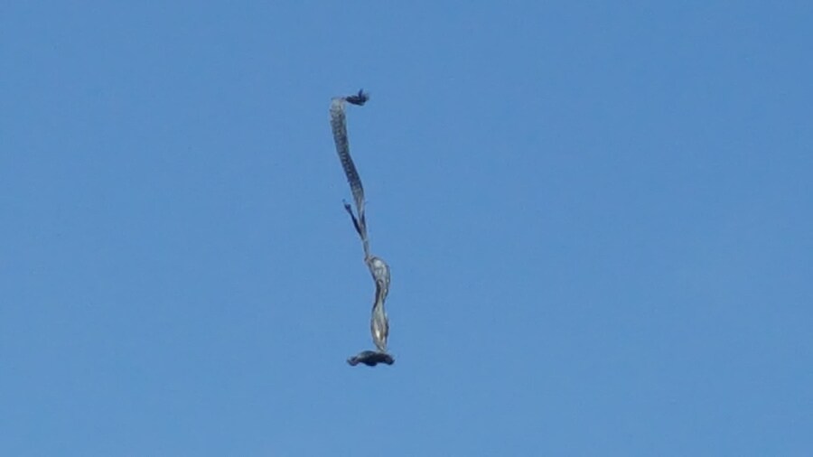 나 UFO 봤음!_5.jpg