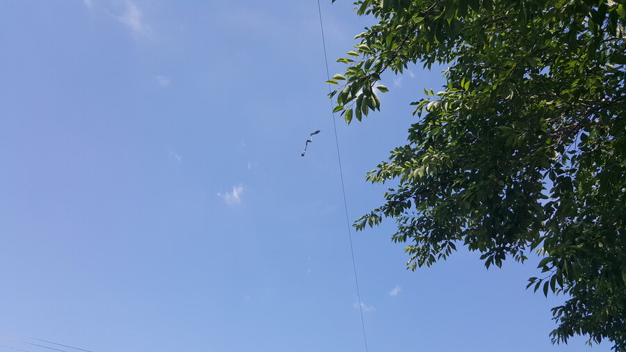 나 UFO 봤음!_7.jpg