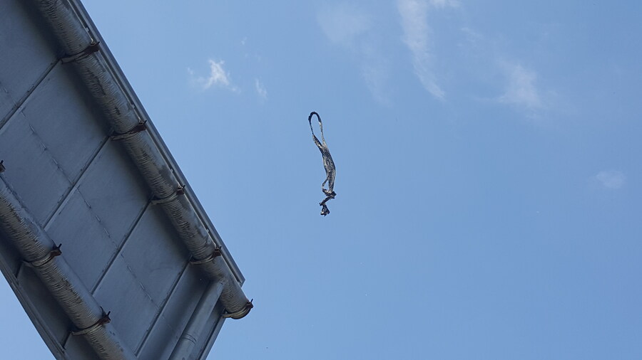 나 UFO 봤음!_9.jpg