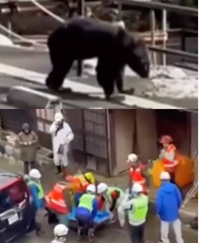 라멘 끓이는데 곰이 습격해 유도로 제압하고 피흘리며 음식 준비한 셰프_3.png