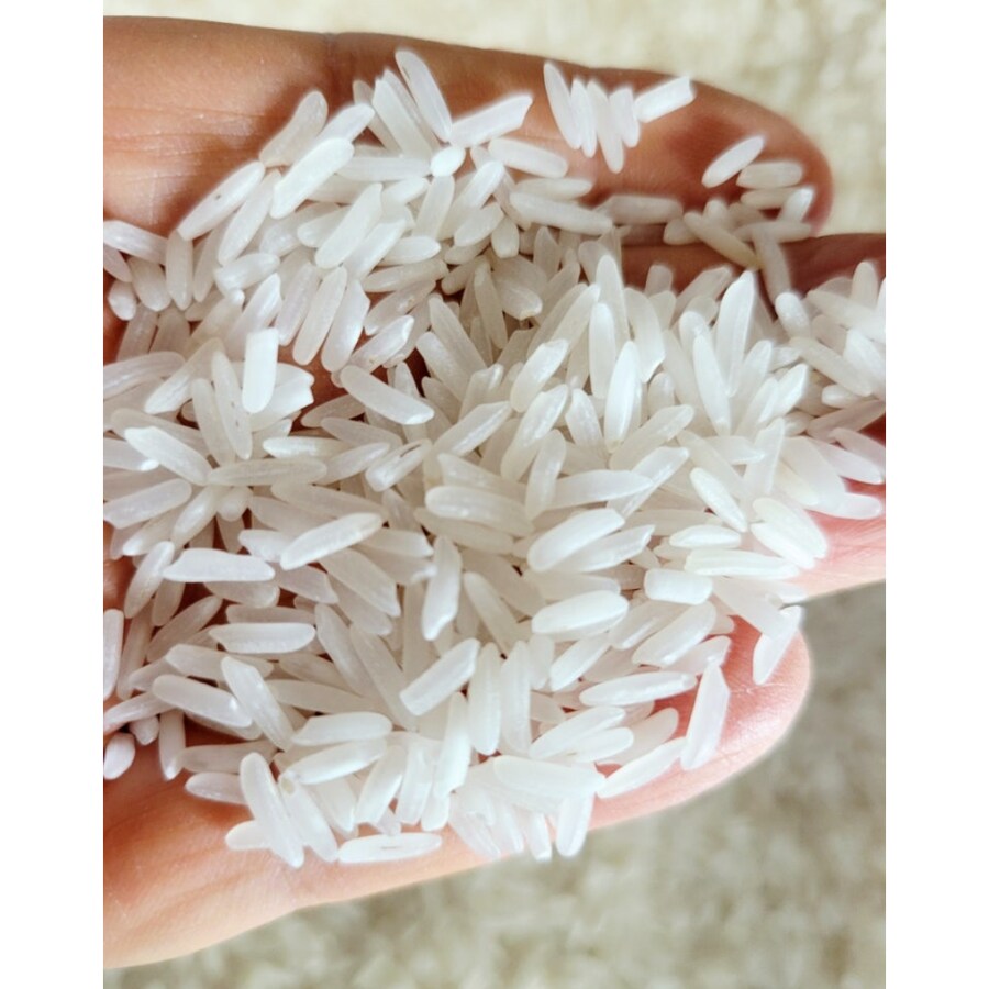 초밥왕 안남미는 말이 안되는 에피임_1.png