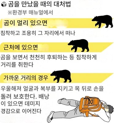 일본에서 곰을 만났을때 대처법.JPG_2.png