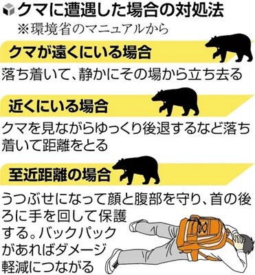 일본에서 곰을 만났을때 대처법.JPG_1.png
