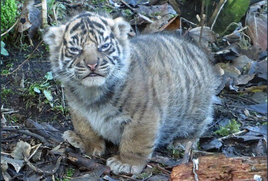 의외로 산에서 마주치면 위험한 거_1.jpg