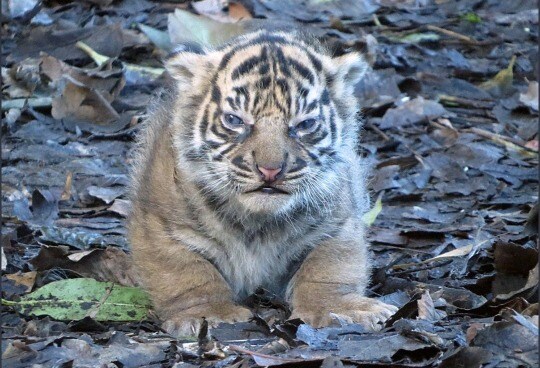 의외로 산에서 마주치면 위험한 거_2.jpg