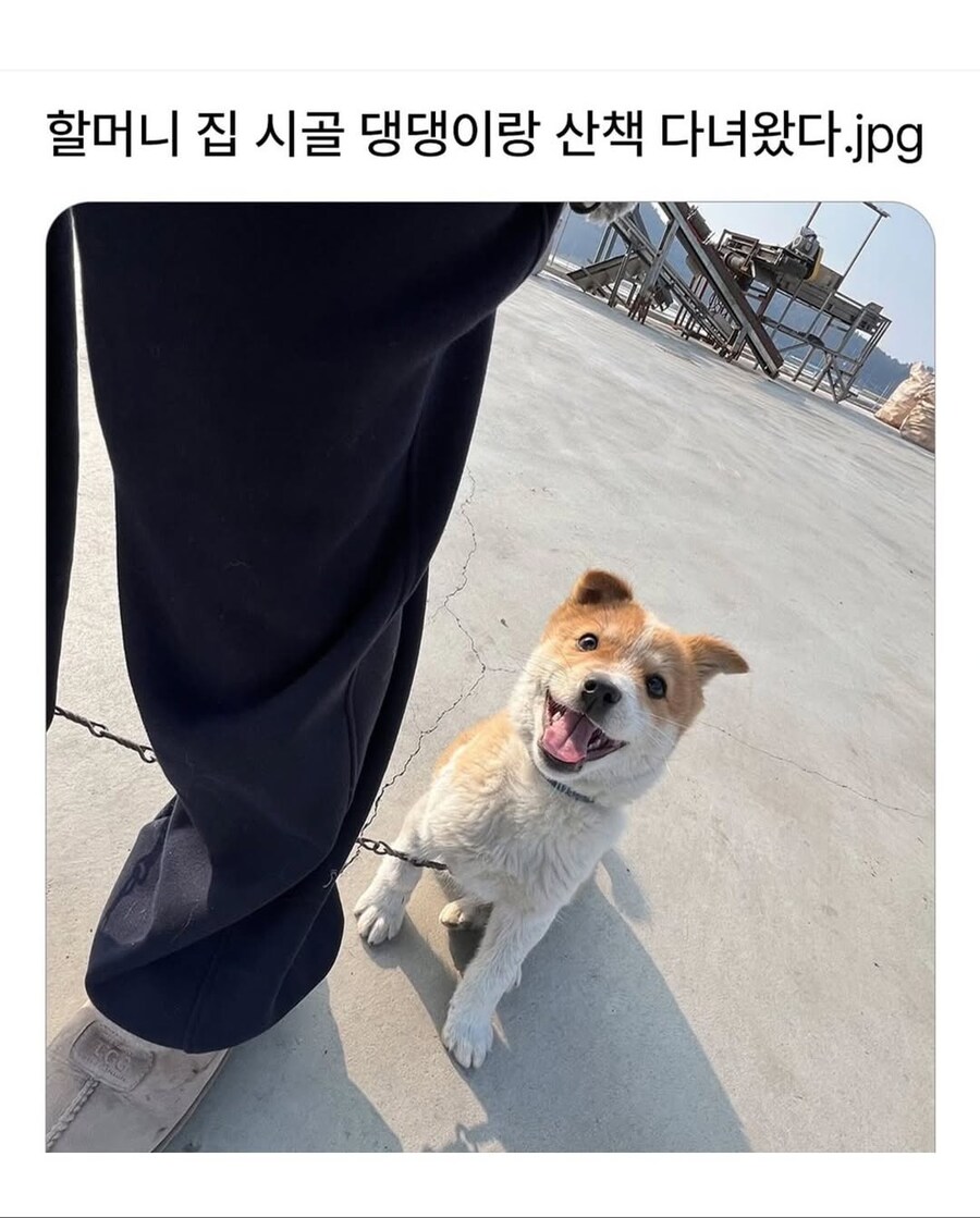 시고르자브종과의 산책_1.jpg