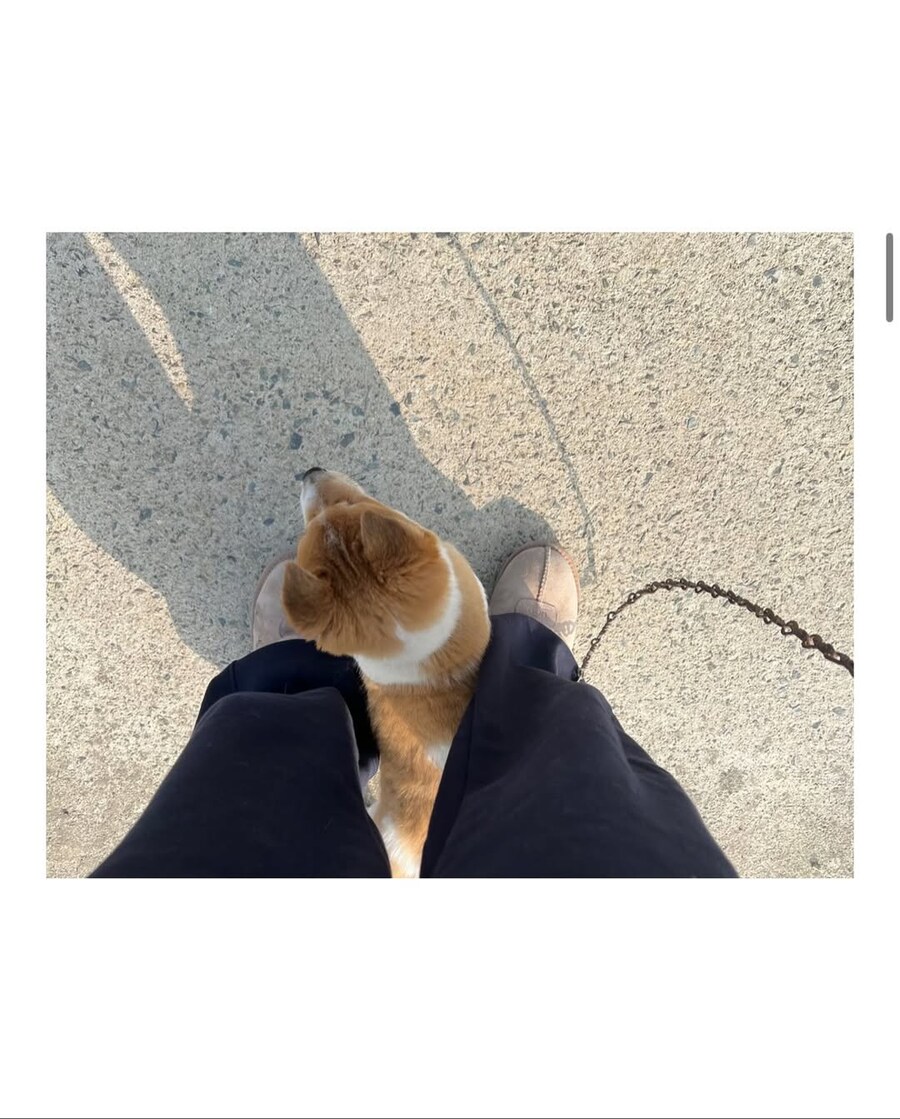 시고르자브종과의 산책_8.jpg