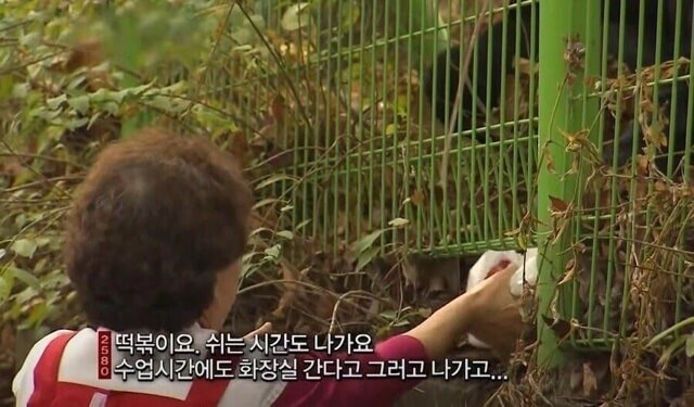 미국으로 넘어가는 마/약 밀매보다 스릴 넘치는 상황_2.jpg