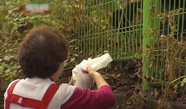 미국으로 넘어가는 마/약 밀매보다 스릴 넘치는 상황_3.jpg