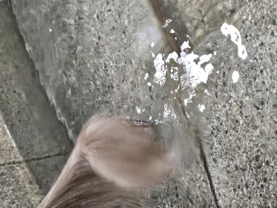 이고양이는 꼬리를물에담그는걸좋아하는듯_3.jpg