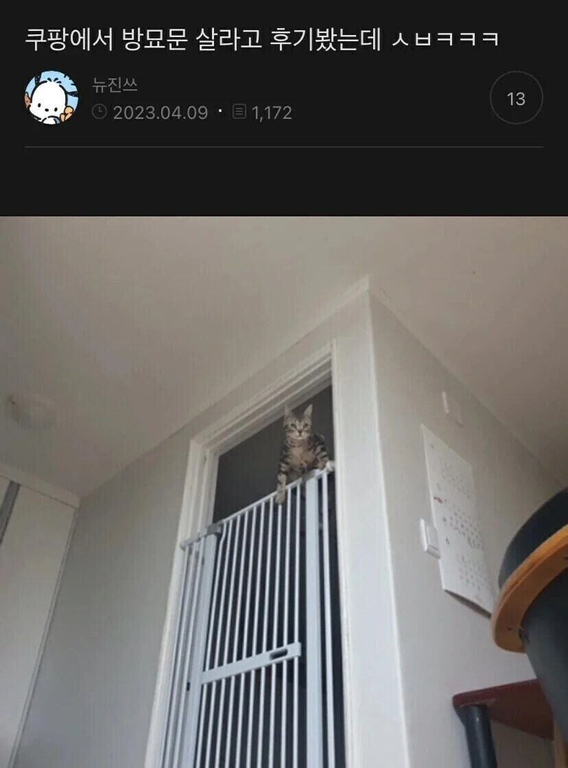 쿠팡 방묘문 후기_1.jpg