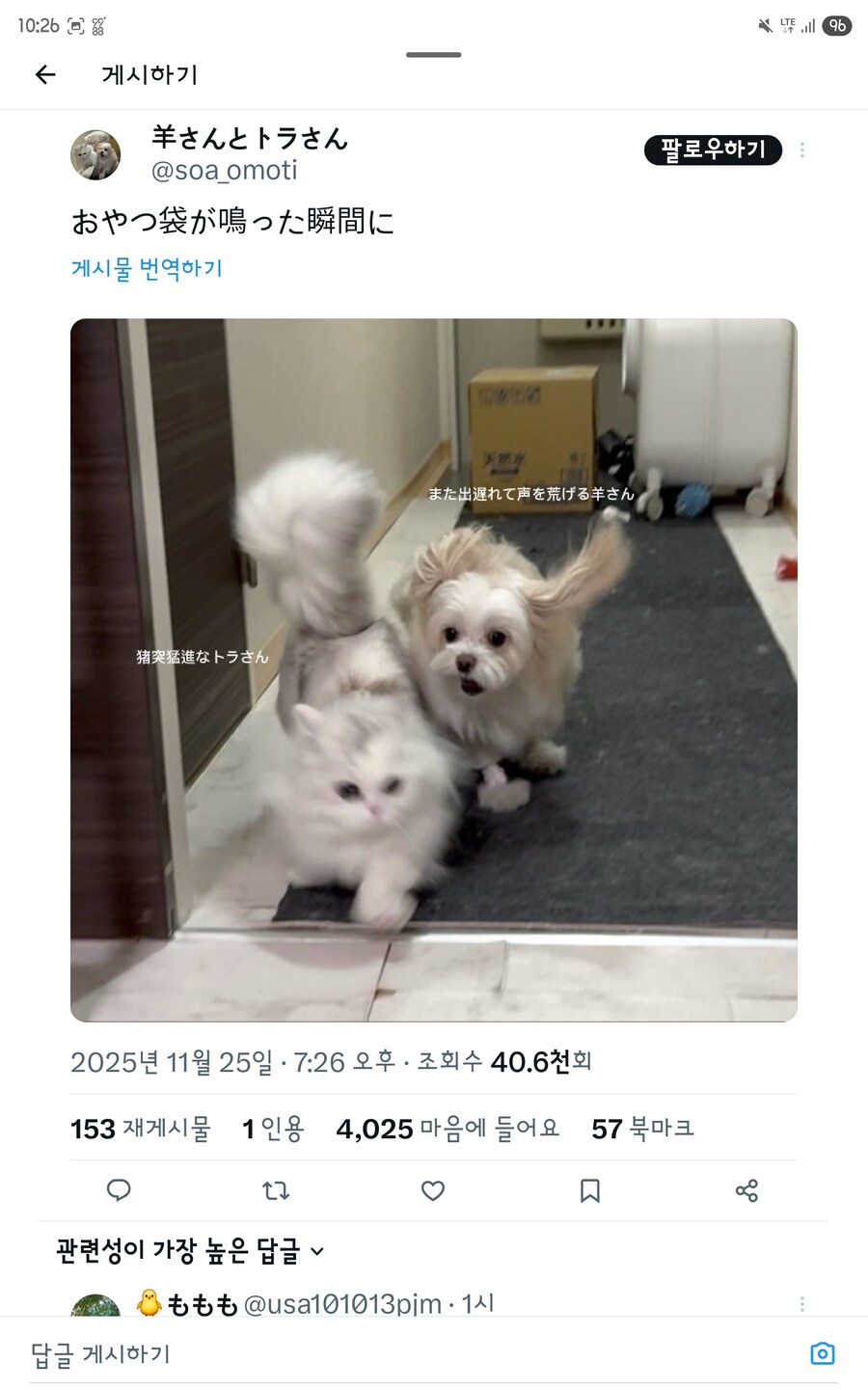 간식시간마다 재밌는 사진이 찍히는 멍냥이.jpg_5.jpg