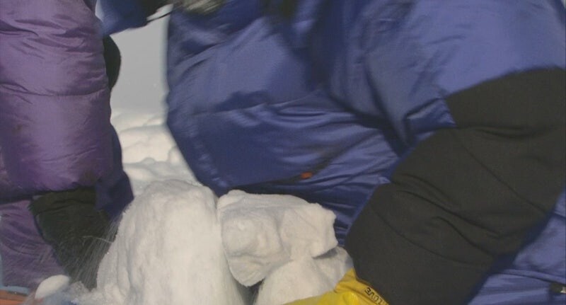 남극에서는 물이 귀합니다._4.jpg