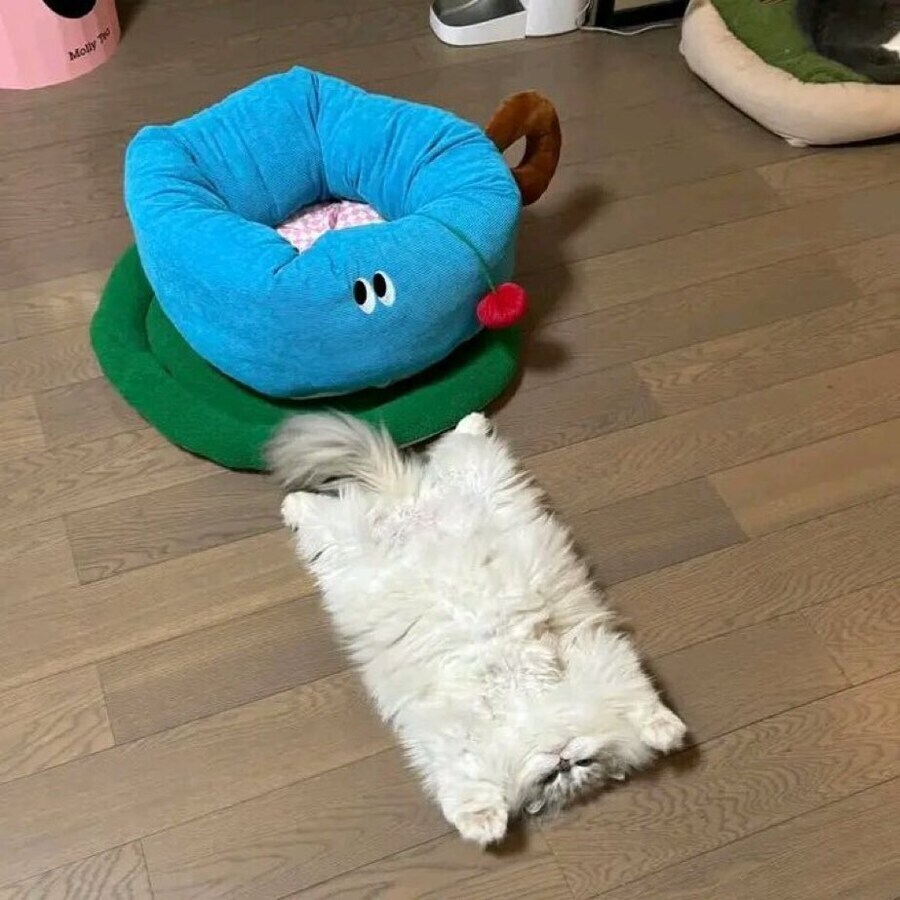 네모네모 고먐미_1.jpg