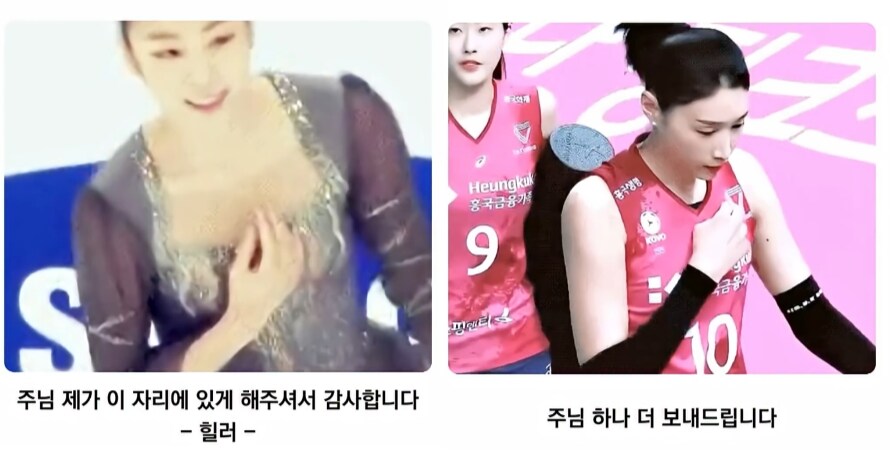 연경신 성호 VD 연아신 성호_1.png