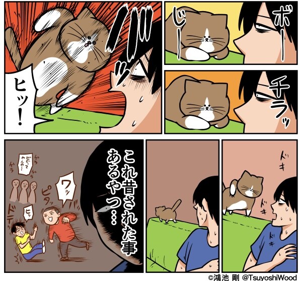 고양이한테 트라우마 자극당한 주인_1.jpg