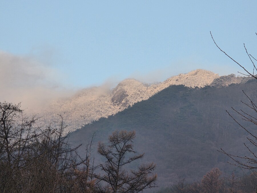 우리동네 눈 내렸음_1.jpg