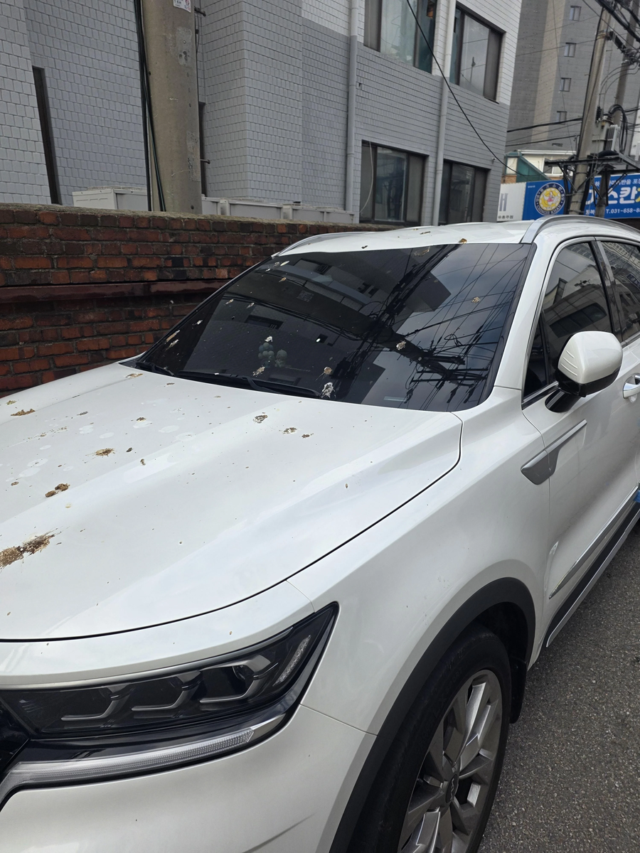 까마귀를 총으로 쏴 죽이고 싶다는 사람.JPG_3.webp