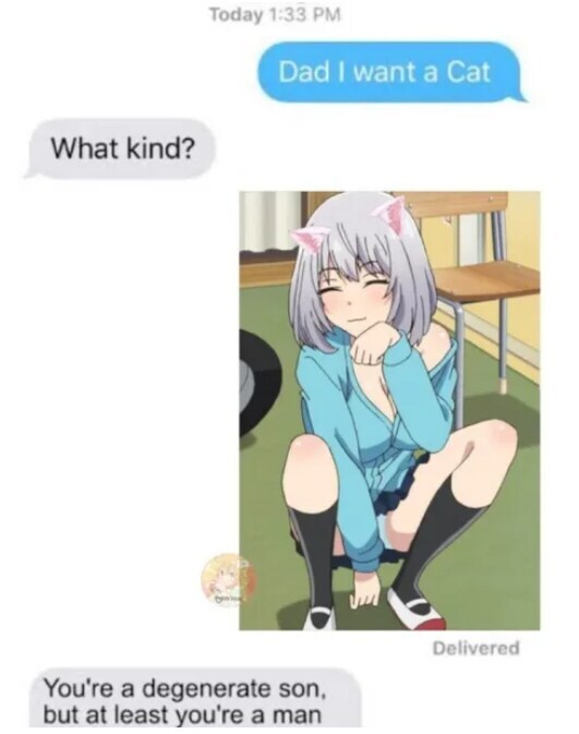 고양이가 키우고 싶다는 아들.jpg_1.jpg