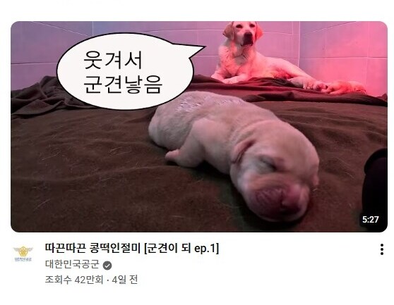 공군 썸네일 어이가 없네 ㅋㅋ_1.png