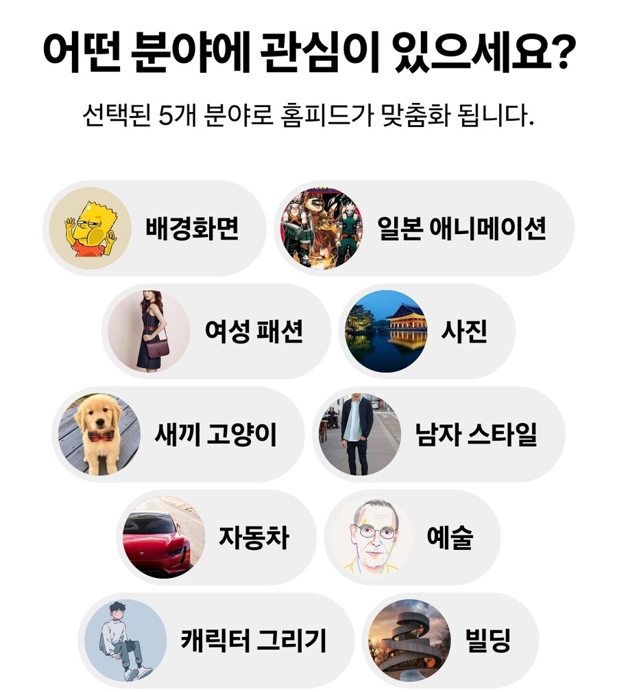 새끼 고양이_1.jpg