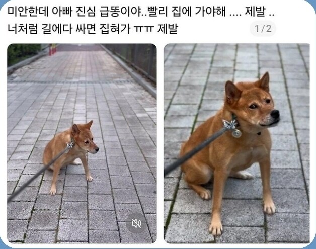 나한태 특식 안준 복수다_1.jpg