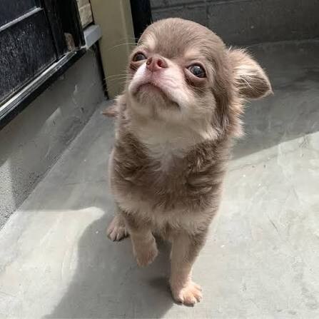 천사짤 몇장올릴께_1.jpg