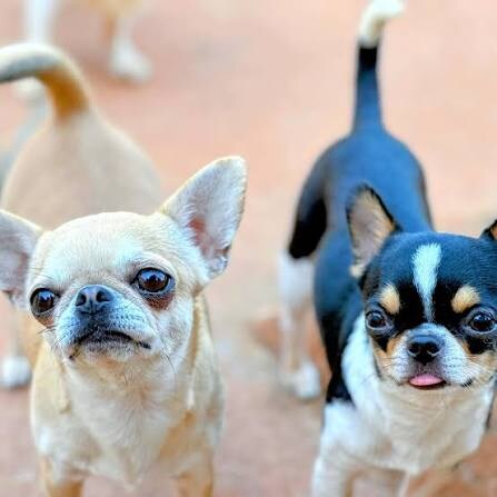 천사짤 몇장올릴께_4.jpg